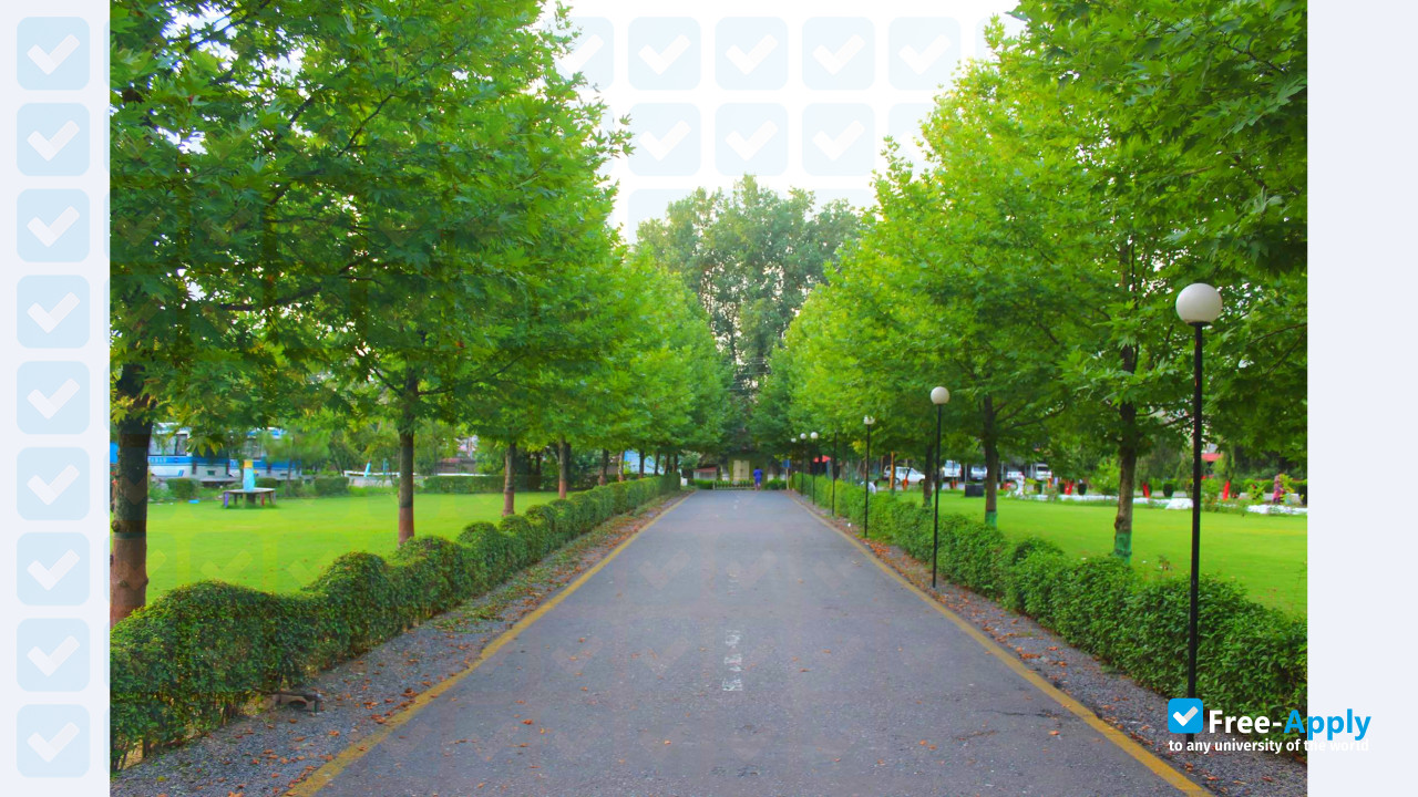 COMSATS Institute of Information Technology Islamabad photo #11