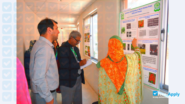 National Institute for Biotechnology and Genetic Engineering photo