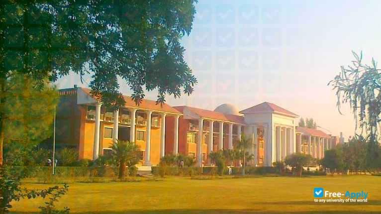 Barani Institute of Information Technology фотография №4