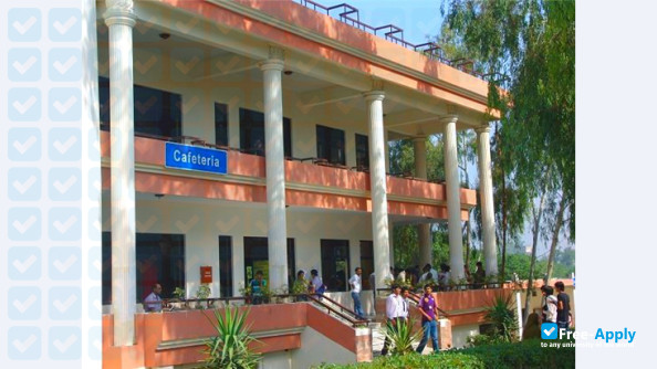 Foto de la National University of Modern Languages Islamabad #8