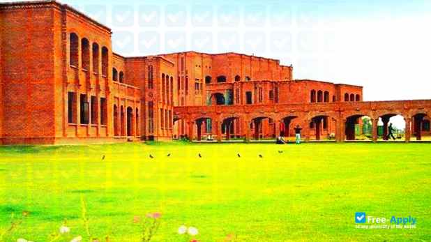 Government College for Women University Sialkot фотография №7