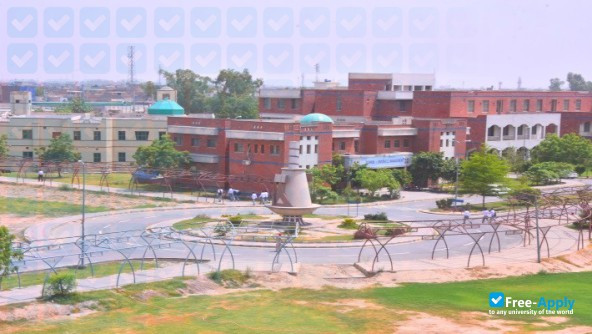 NFC Institute of Engineering & Fertilizer Research photo #6