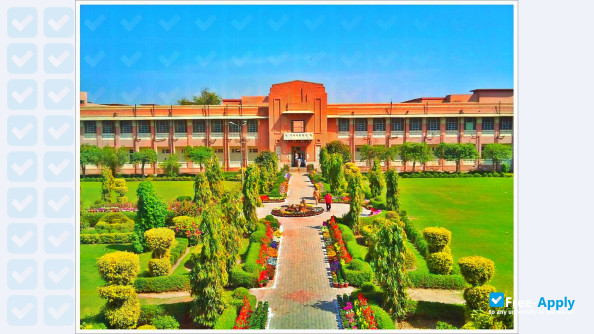Nishtar Medical College photo #4