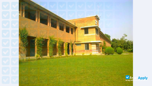 Photo de l’Government College Sahiwal #4