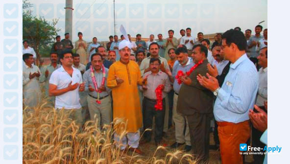 Foto de la Government College University Faisalabad #11