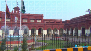 Government College University Faisalabad миниатюра №4