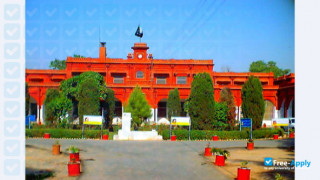 Government College University Faisalabad миниатюра №3