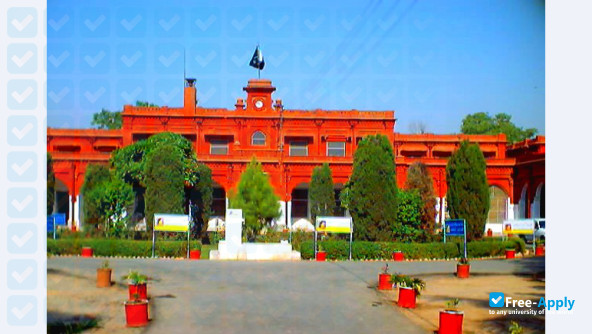 Foto de la Government College University Faisalabad #3