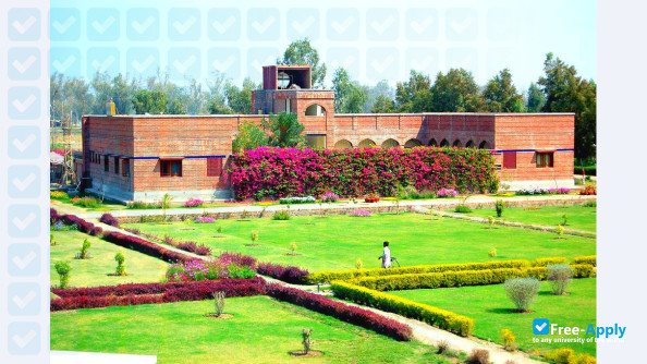 Institute of Business Administration Sukkur фотография №11