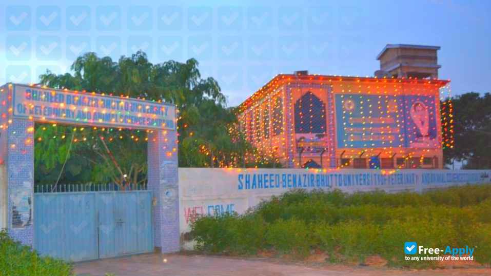 Shaheed Benazir Bhutto University of Veterinary and Animal Sciences, Sakrand photo #2