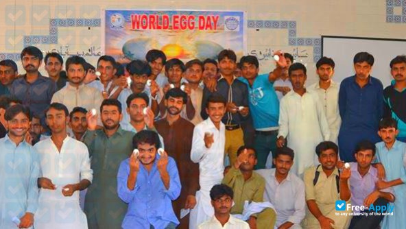 Shaheed Benazir Bhutto University of Veterinary and Animal Sciences, Sakrand photo #5