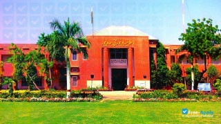Islamia University Bahawalpur миниатюра №1