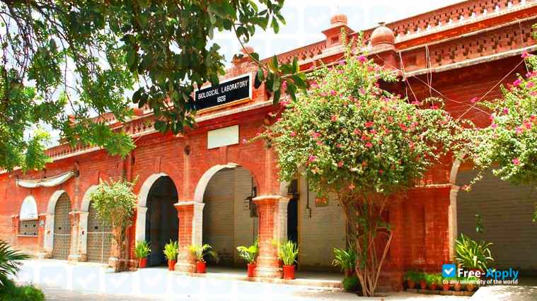Women University Multan photo #4