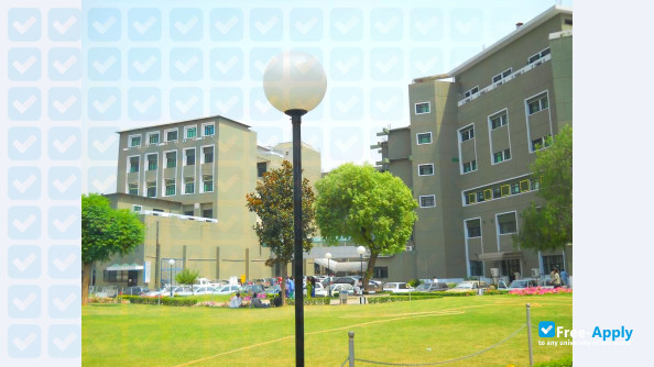 Foto de la Shifa College of Medicine #7