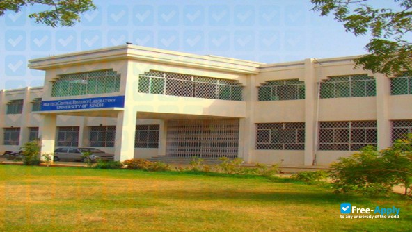 Foto de la University of Sindh #4