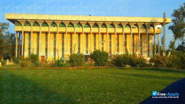 Foto de la University of Sindh #7