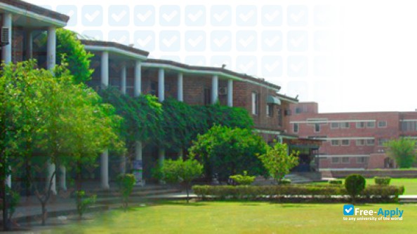 Foto de la University College Lahore #4