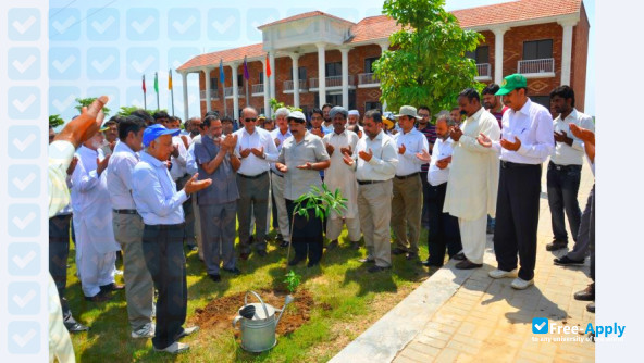 Pir Mehr Ali Shah Arid Agriculture University photo