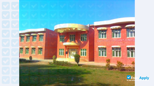 University of Sargodha photo #2