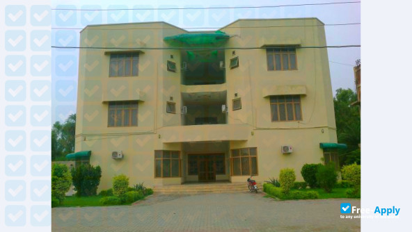 University of Sargodha photo #4