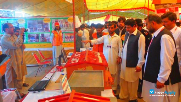 Foto de la University of Malakand