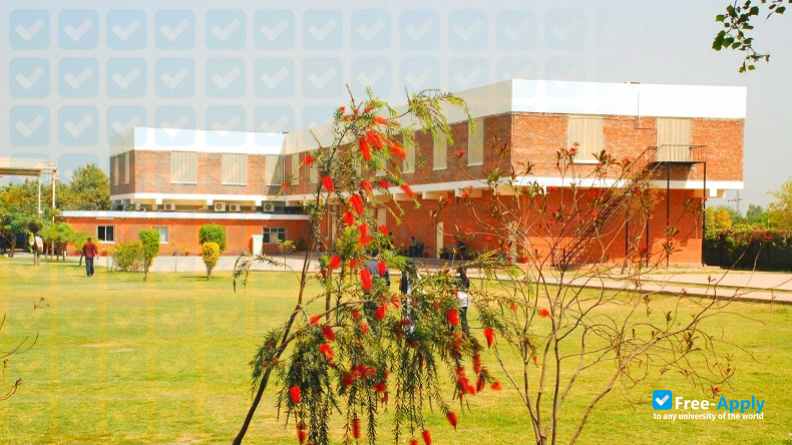 Lahore School of Economics photo #2