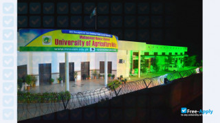 Muhammad Nawaz Shareef University of Agriculture thumbnail #4