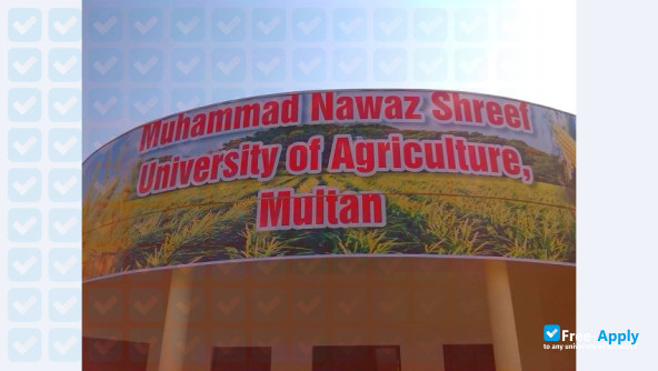 Foto de la Muhammad Nawaz Shareef University of Agriculture #2
