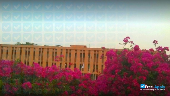 Sindh Agriculture University фотография №4