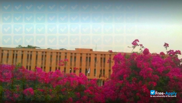 Foto de la Sindh Agriculture University #4