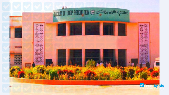 Sindh Agriculture University фотография №3