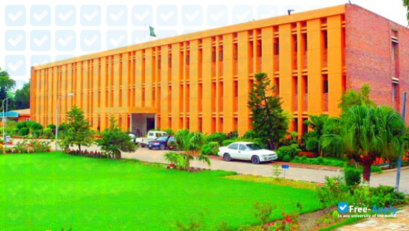 Sindh Agriculture University photo #2