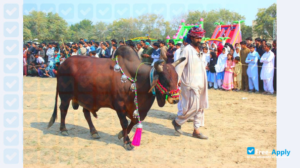 Sindh Agriculture University фотография №2
