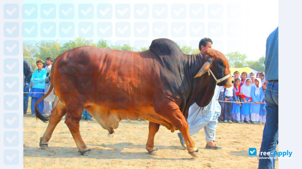 Sindh Agriculture University фотография №7