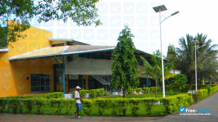 Photo de l’Divine Word University #3