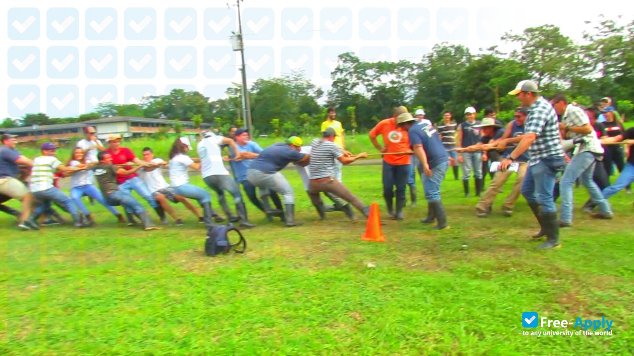 Universidad San Carlos Paraguay фотография №6
