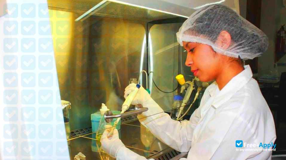 Scientific University of Peru photo #3