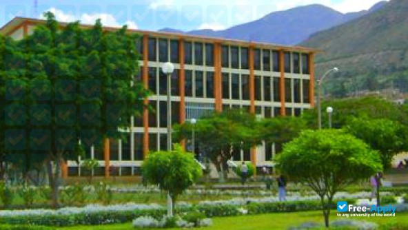 National University Hermilio Valdizan photo #4