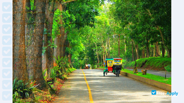 Mindanao State University Marawi City photo #7