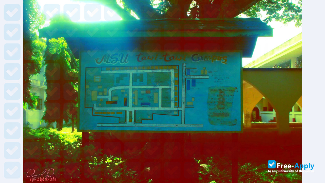 Mindanao State University Tawi-Tawi College of Technology and Oceanography photo #4