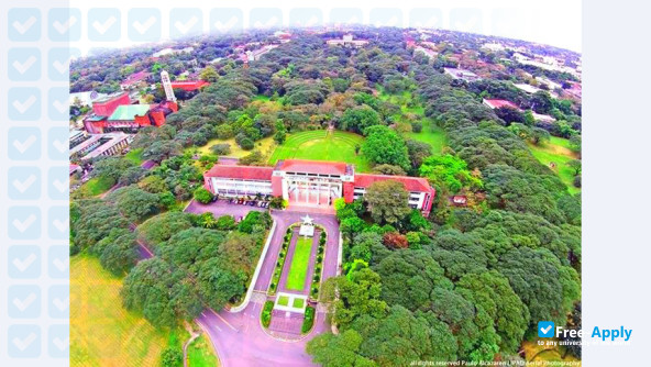 Foto de la University of the Philippines #8