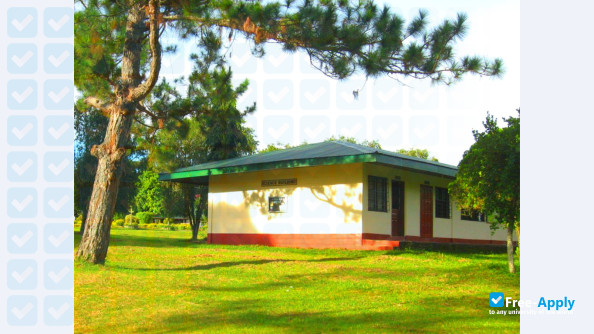 Mountain View College Phillipines photo #13