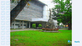 University of the Philippines in the Visayas vignette #3
