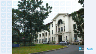 Miniatura de la University of the Philippines Diliman #5
