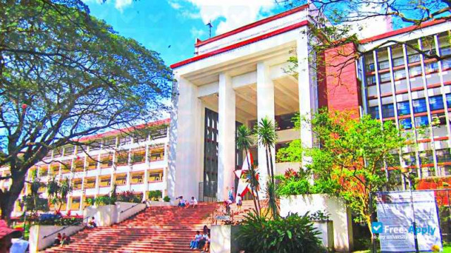 University of the Philippines Diliman photo #8