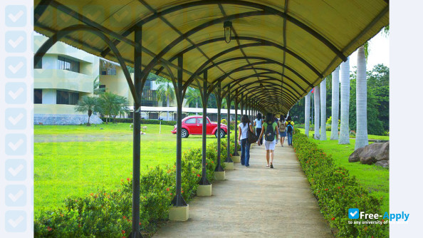 Foto de la University of the Philippines Mindanao #6
