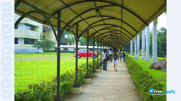 Photo de l’University of the Philippines Mindanao #8