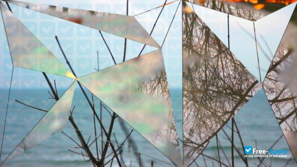 Foto de la Academy of Fine Arts in Gdansk #12