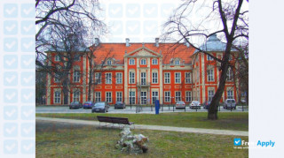 Academy of Fine Arts in Warsaw миниатюра №10