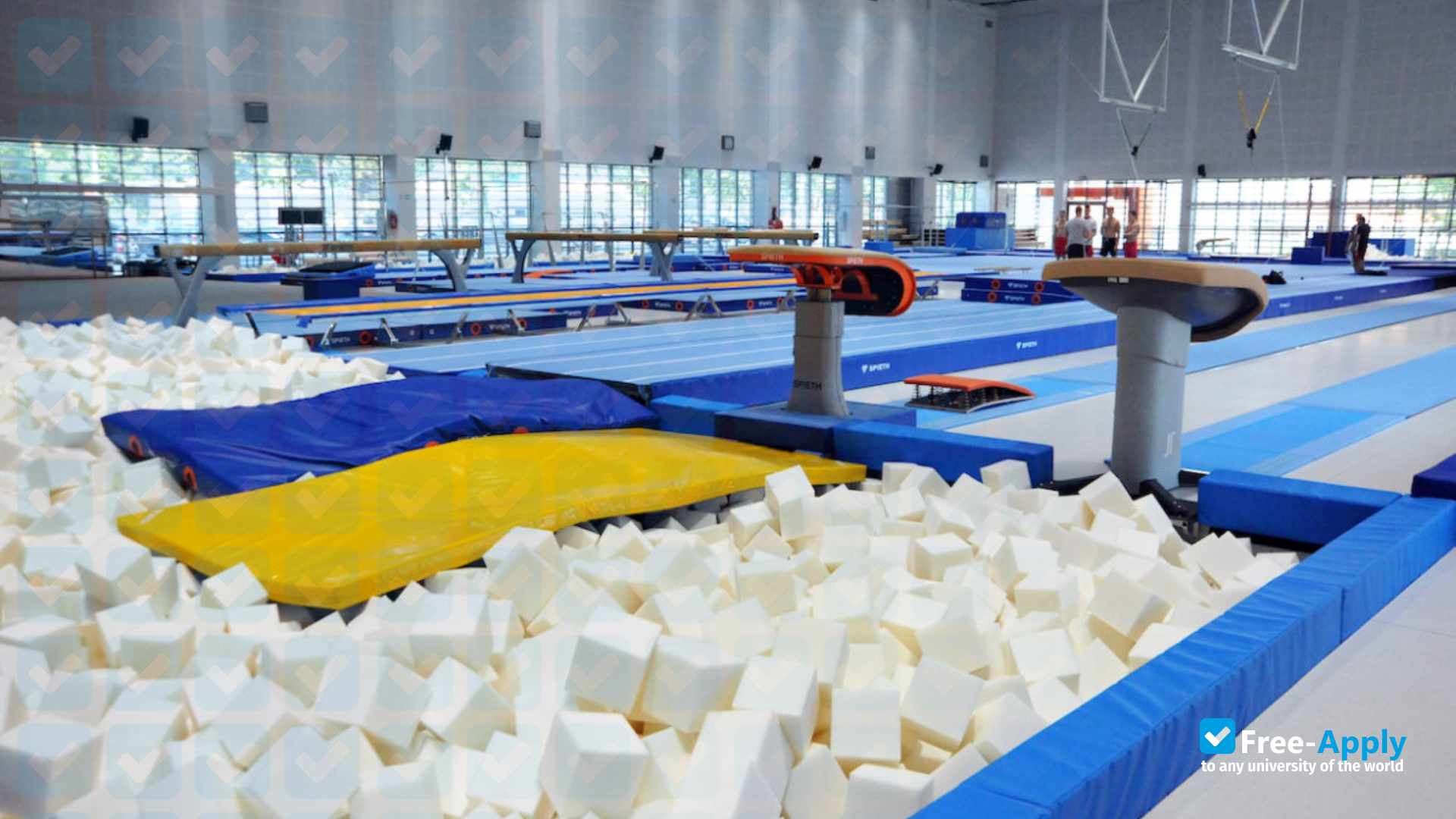 Academy of Physical Education and Sport in Gdansk photo #9